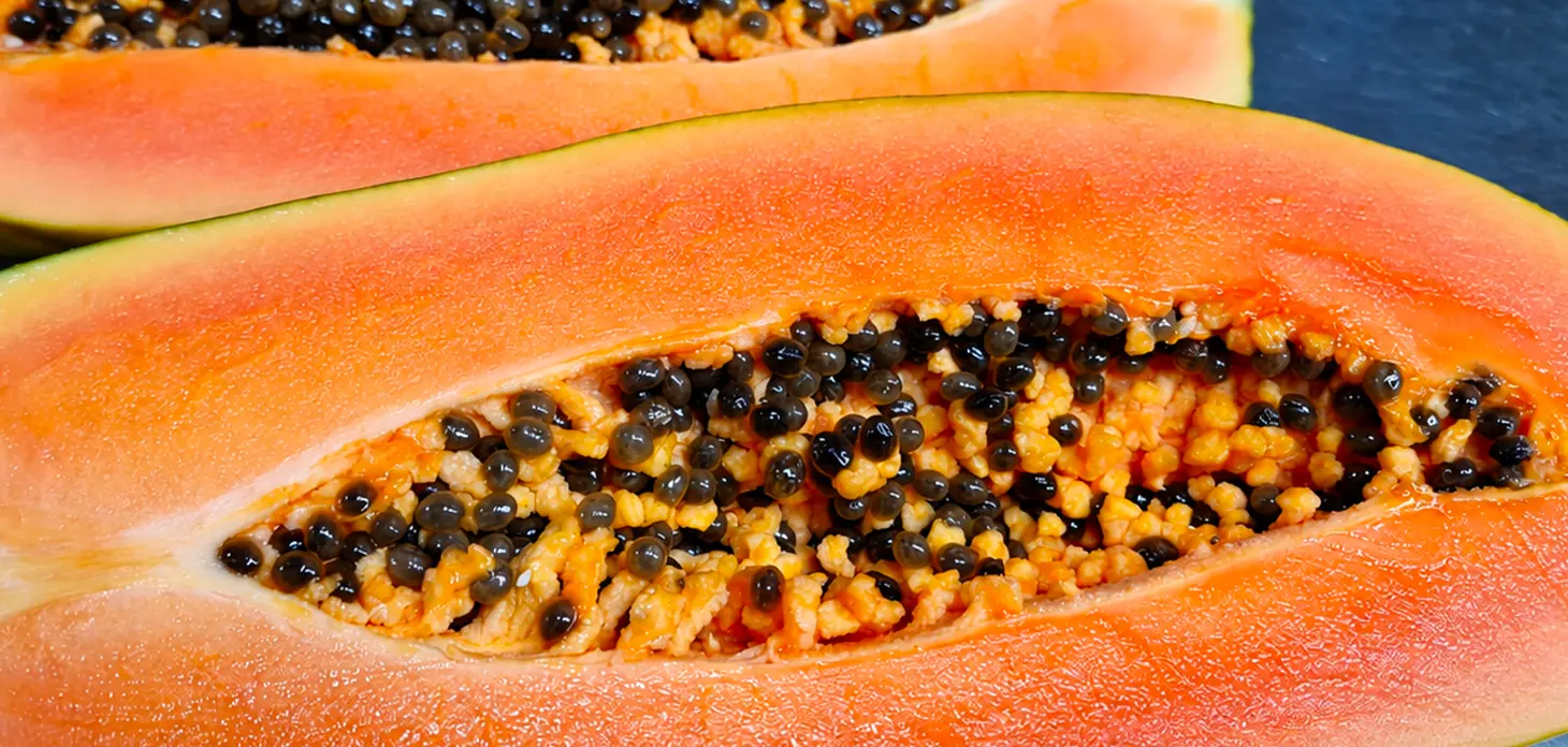 Papaya 1