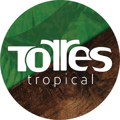 Torres Tropical Favicon