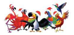Merry Christmas - Belleza Birds